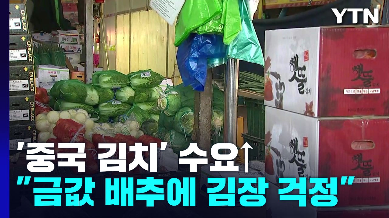 배춧값 급등에 '중국산' 포장김치 수요 증가 / YTN