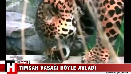 YAVAŞ YAVAŞ YAKLAŞIP BİR ANDA KAPTI