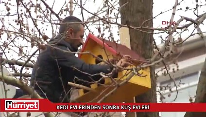 Kedi evlerinden sonra kuş evleri