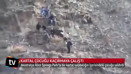 Kartal küçük çocuğu kaçırmaya çalıştı