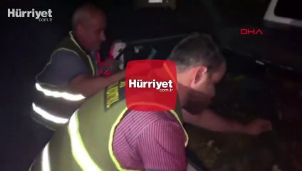 Şırnak'ta kaçak kurbağa avına 737 bin lira ceza