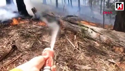 Avustralya'da yavru kanguru, yangından böyle kurtarıldı