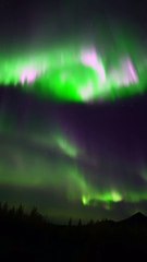 Aurores au-dessus du cercle arctique - Buzz Buddy