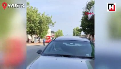 Arabada sıkılan köpek sahibini korna ile çağırdı
