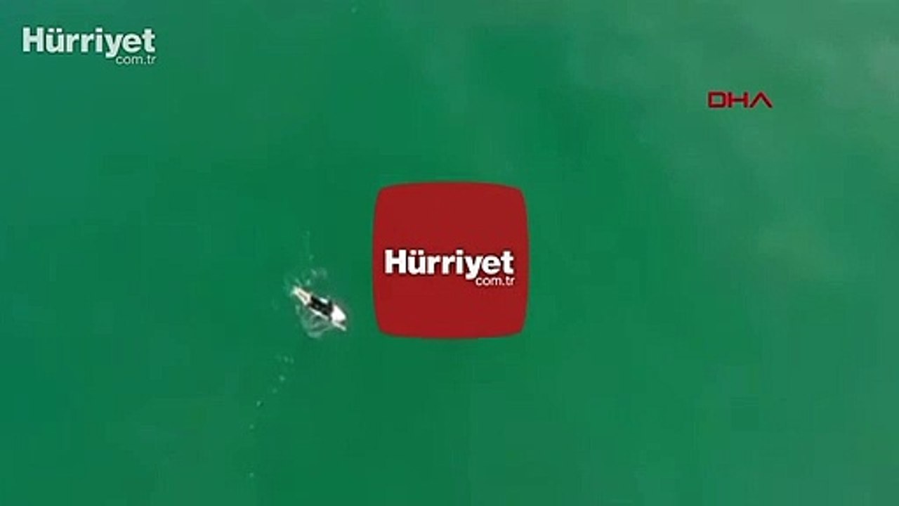 Korku dolu anlar! Sörfçü, köpek balığından son anda kurtuldu