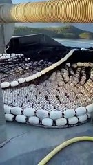 Jeter le filet en mer - Buzz Buddy