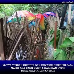 Mayat tidak dikubur dan dibiarkan begitu saja ada yang baru 5 hari