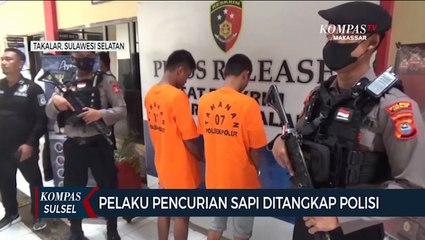 Aksi Pencurian Sapi Di Takalar Terekam CCTV