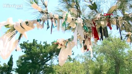 Büyükada'da tepki çeken görüntü!
