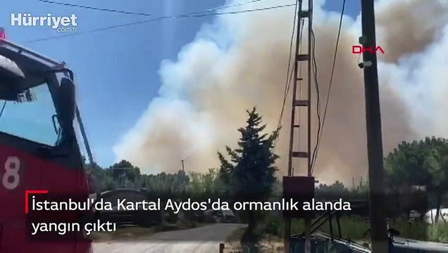 Son dakika haberler... Kartal Aydos'ta ormanlık alanda yangın