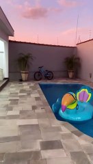 Oiseau se détend sur le flotteur de la piscine - Buzz Buddy