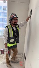 Sauvetage d'un pigeon d'un mur intérieur sur un chantier de construction - Buzz Buddy