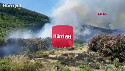 Son dakika haber... Aydın'da makilik alanda yangın çıktı