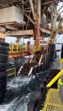 Un grand lion de mer essayant de sauter dans l'eau depuis une plate-forme pétrolière frappe un bateau - Buzz Buddy