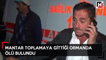 Mantar toplamaya gittiği ormanda ölü bulundu