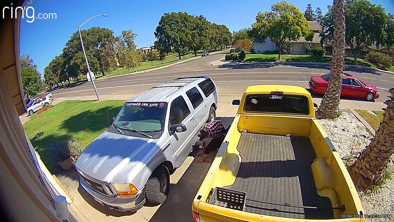 Un vol apparent de convertisseur catalytique contrecarré par une famille armée de pistolets de paintball - Buzz Buddy