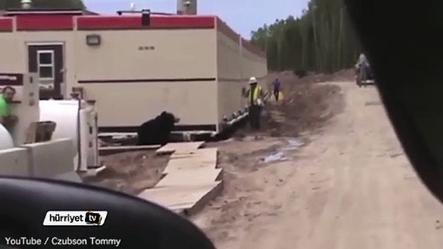 Ayı kostümü ile arkadaşlarına şaka yaptı