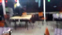 Yolunu şaşıran yavru ayı kahvehaneyi birbirine kattı