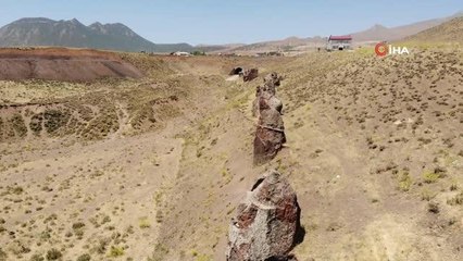 Asırlık 'Nemrut Develeri' yok olma tehlikesiyle karşı karşıya