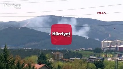 Kartal Aydos'ta bulunan ormanlık alanda yangın çıktı