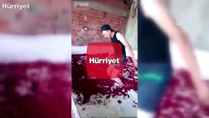 Domatesleri ayaklarıyla ezen kişinin çalıştığı firmaya para cezası