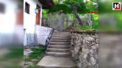 Ayı köyü mesken tuttu