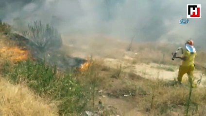 Reklam tabelası için ormanı yaktılar