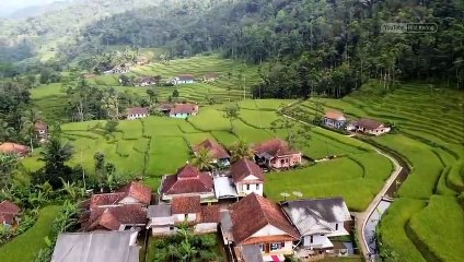 suasana alam desa di pagi hari bikin damai dan tenang
