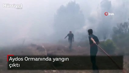 Aydos Ormanı'nda yangın çıktı
