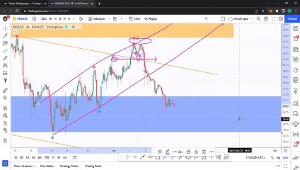Newscrypto.io: Supply And Demand Zones, Tips & Tricks with Rich aka theSignalyst! Part 3: DFX, GALFTUS, SEED, BNB, XRP