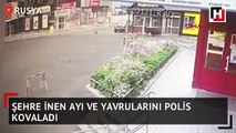 Şehre inen ayı ve yavrularını polis kovaladı