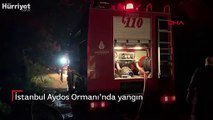 İstanbul Aydos Ormanı'nda yangın