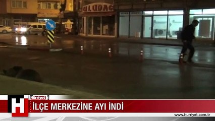 BURSA'DA GECE YARISI AYI PANİĞİ