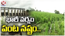 Heavy Rains Hits In Medak ,Crop Damage Due To Rains | V6 News