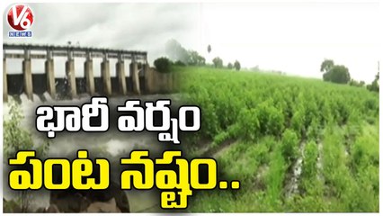 Heavy Rains Hits In Medak ,Crop Damage Due To Rains | V6 News