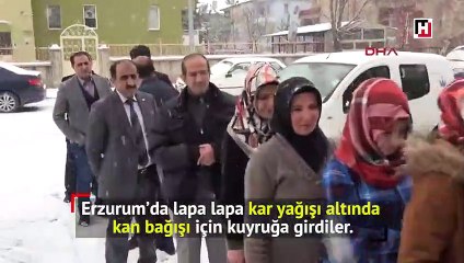 Lapa lapa kar yağışı altında kan bağışı kuyruğu