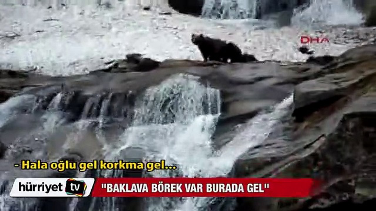 Korkma arkadaş olacağız