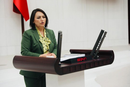 Şevkin, İçişleri Bakanı Süleyman Soylu’ya sordu: Evdeki yabancı kim?