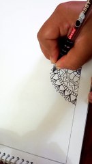 doodle art drawing/zentangle art/mandalapattern