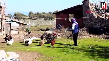 'Yerli Robinsonlar'ın hikayesi ilgi çekiyor