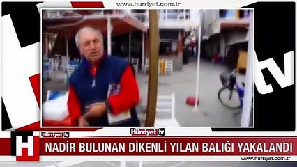 NADİR BULUNAN 'DİKENLİ YILAN BALIĞI' YAKALADI
