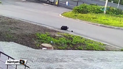 Dalgınlığının bedelini az daha canıyla ödüyordu