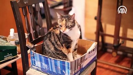 Tablolarıyla harikalar yaratan adam: Javad Süleymanpur