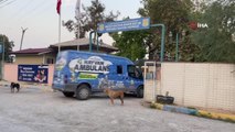 Mersin gündem haberi: Ölüme terk edilen yavru köpeklere Tarsus Belediyesi sahip çıktı