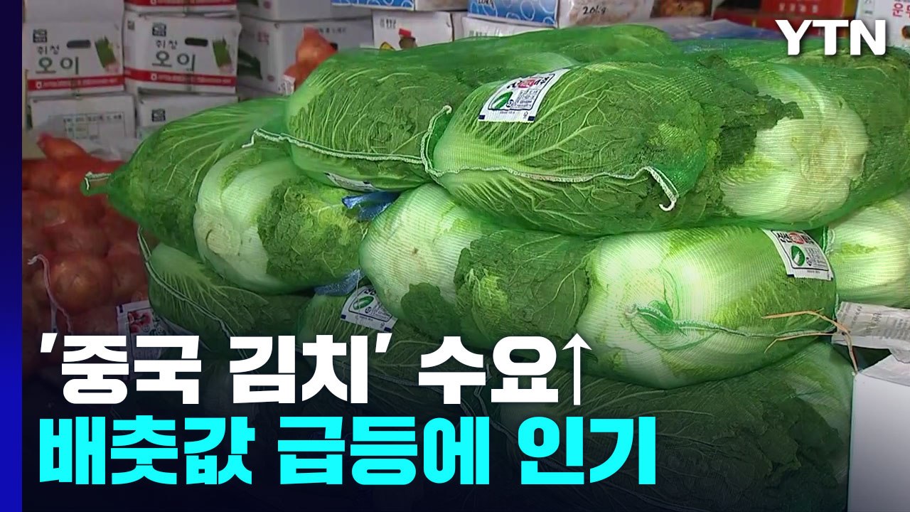 배춧값 급등에 '중국산' 포장김치 수요 증가 / YTN