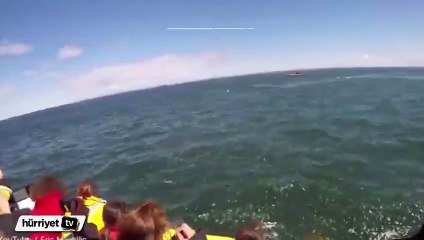 Fransız turistler inanılmaz bir olaya şahit oldu