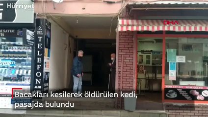 Bacakları kesilerek öldürülen kedi pasajda bulundu! 'Bunu yapan insan değildir'