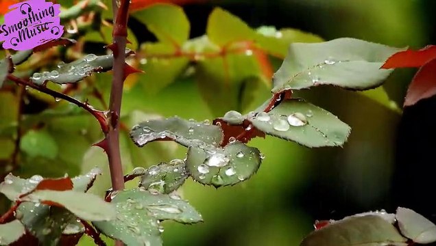 Calming Piano Music with Rain & Thunder Sounds for Sleep or Relaxing • Rainy Day