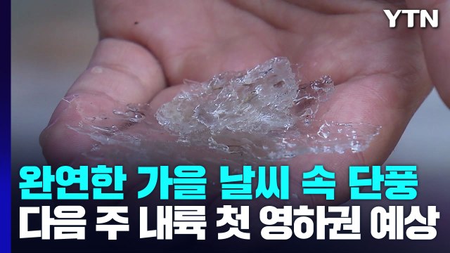 [날씨] 다음 주 기온 '뚝'... 영하권 초겨울 추위 온다 / YTN