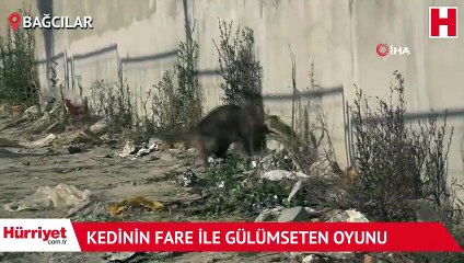 Kedinin fare ile gülümseten oyunu